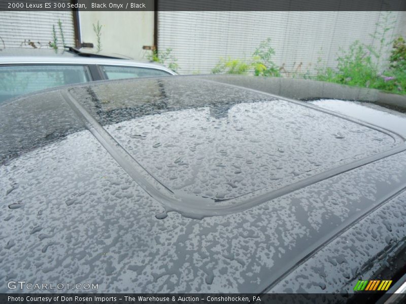 Black Onyx / Black 2000 Lexus ES 300 Sedan