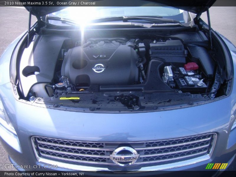Ocean Gray / Charcoal 2010 Nissan Maxima 3.5 SV