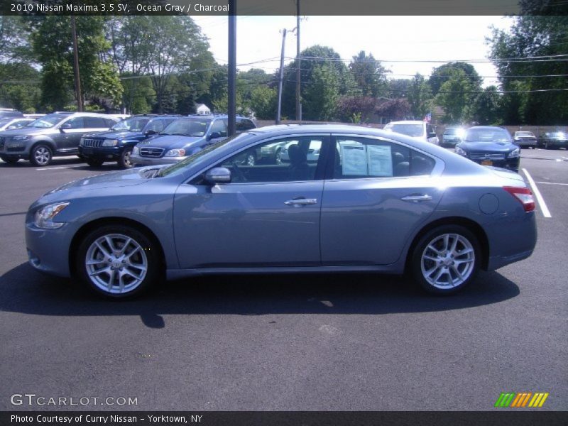 Ocean Gray / Charcoal 2010 Nissan Maxima 3.5 SV