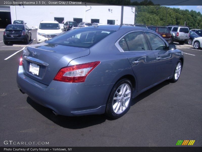 Ocean Gray / Charcoal 2010 Nissan Maxima 3.5 SV