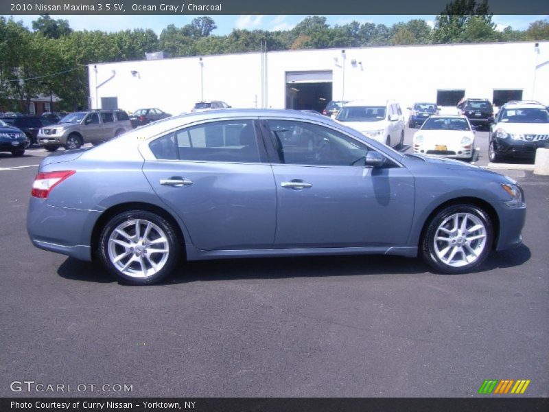 Ocean Gray / Charcoal 2010 Nissan Maxima 3.5 SV
