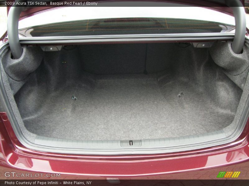 Basque Red Pearl / Ebony 2009 Acura TSX Sedan