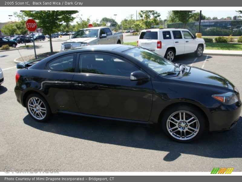 Black Sand Mica / Dark Gray 2005 Scion tC