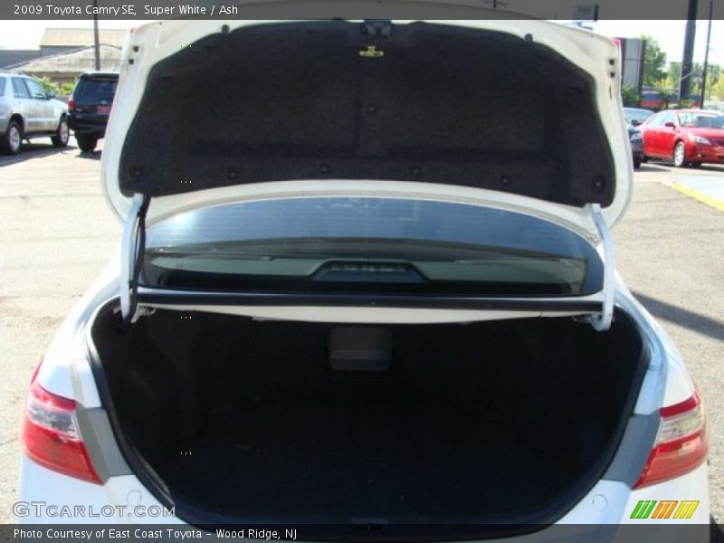 Super White / Ash 2009 Toyota Camry SE