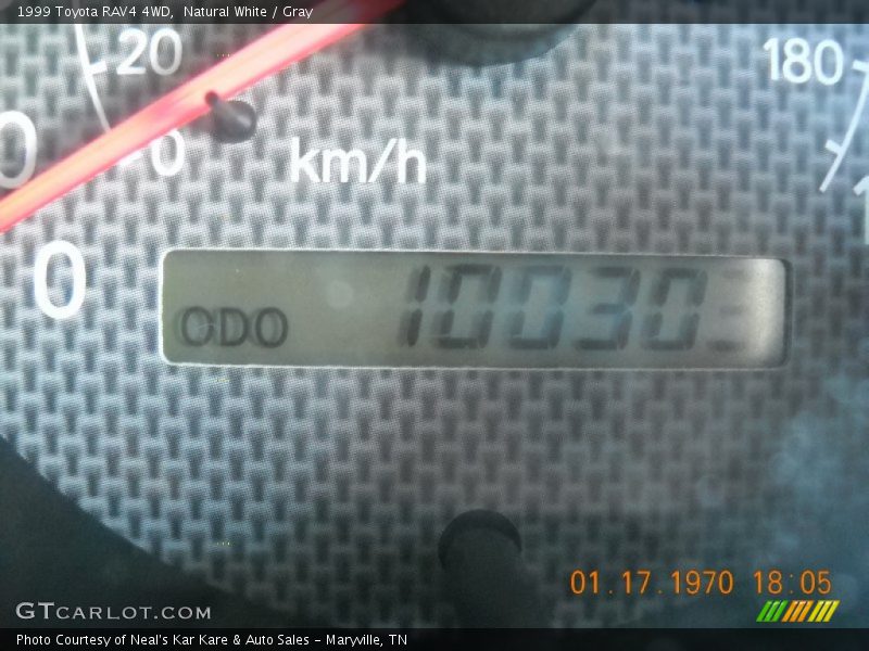 Natural White / Gray 1999 Toyota RAV4 4WD