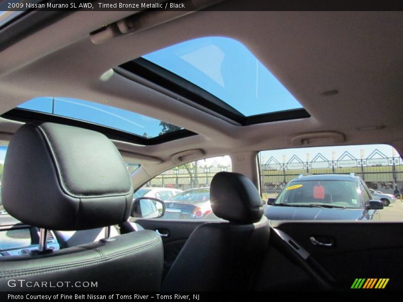 Tinted Bronze Metallic / Black 2009 Nissan Murano SL AWD