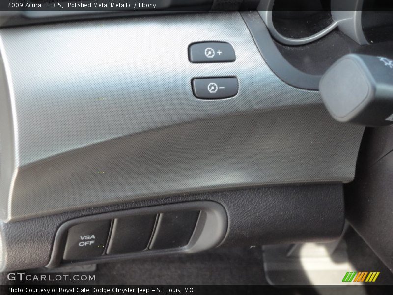 Polished Metal Metallic / Ebony 2009 Acura TL 3.5