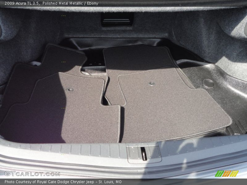 Polished Metal Metallic / Ebony 2009 Acura TL 3.5