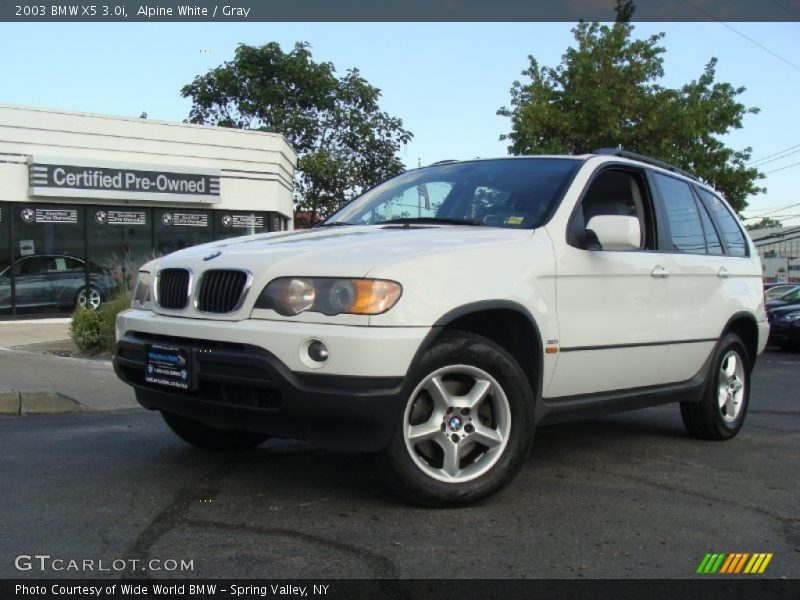 Alpine White / Gray 2003 BMW X5 3.0i