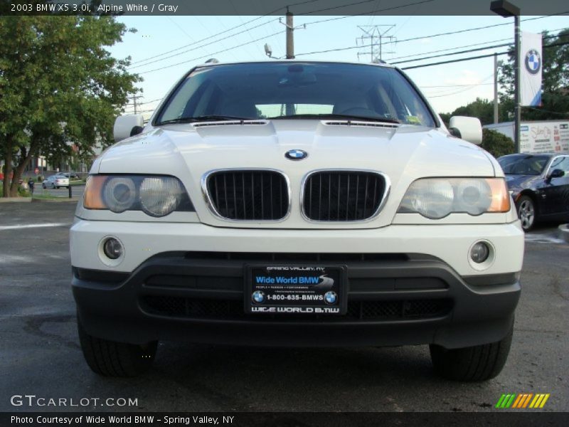 Alpine White / Gray 2003 BMW X5 3.0i