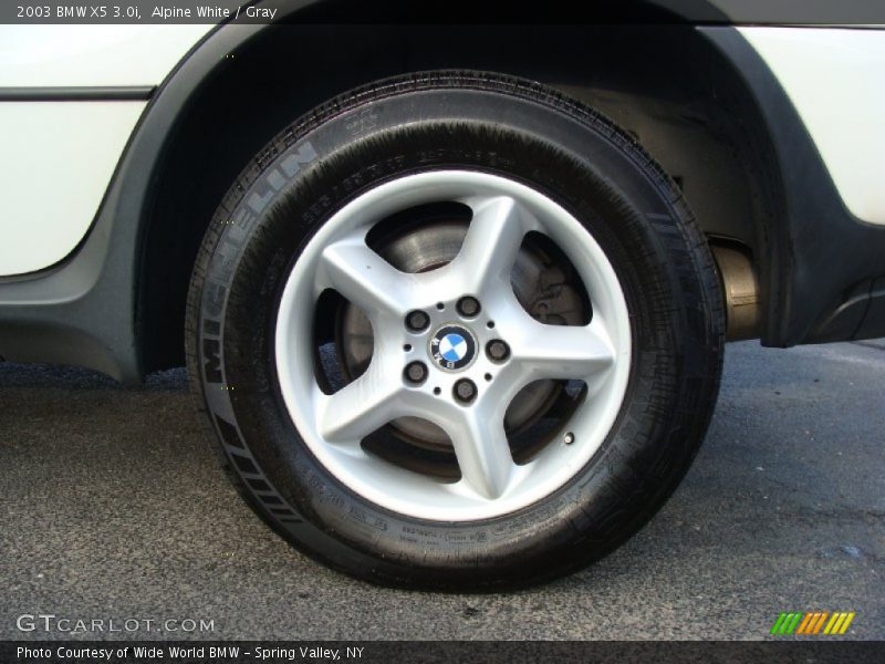 Alpine White / Gray 2003 BMW X5 3.0i