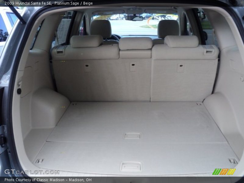 Platinum Sage / Beige 2009 Hyundai Santa Fe SE
