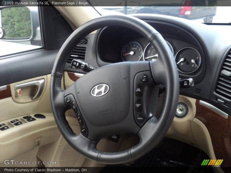 Platinum Sage / Beige 2009 Hyundai Santa Fe SE