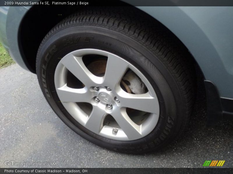 Platinum Sage / Beige 2009 Hyundai Santa Fe SE
