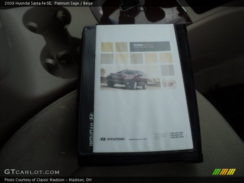 Platinum Sage / Beige 2009 Hyundai Santa Fe SE