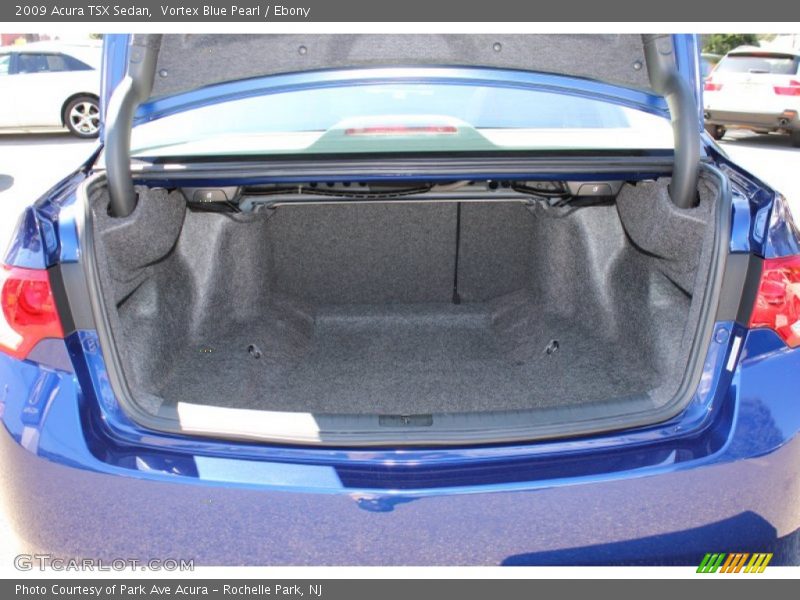 Vortex Blue Pearl / Ebony 2009 Acura TSX Sedan