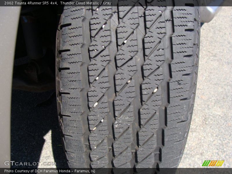 Thunder Cloud Metallic / Gray 2002 Toyota 4Runner SR5 4x4