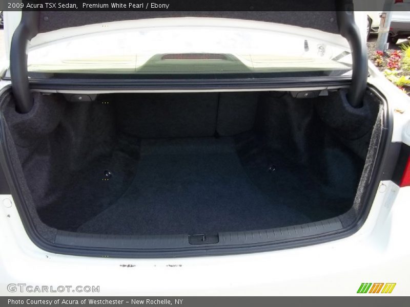 Premium White Pearl / Ebony 2009 Acura TSX Sedan