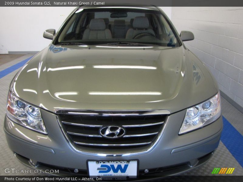 Natural Khaki Green / Camel 2009 Hyundai Sonata GLS