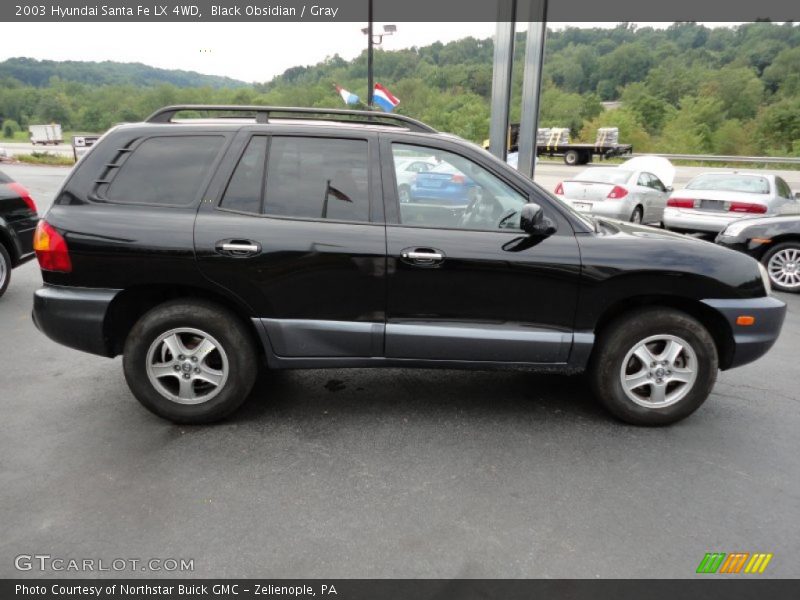 Black Obsidian / Gray 2003 Hyundai Santa Fe LX 4WD