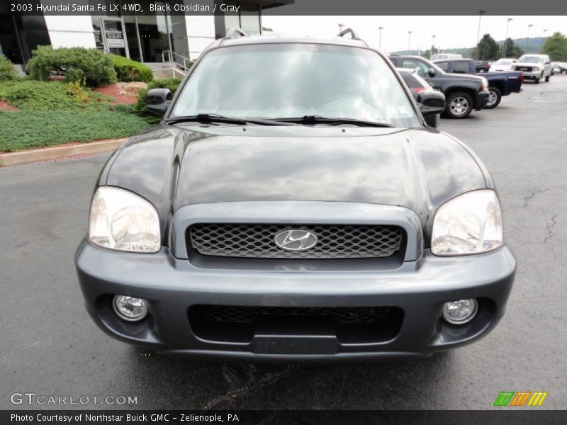 Black Obsidian / Gray 2003 Hyundai Santa Fe LX 4WD