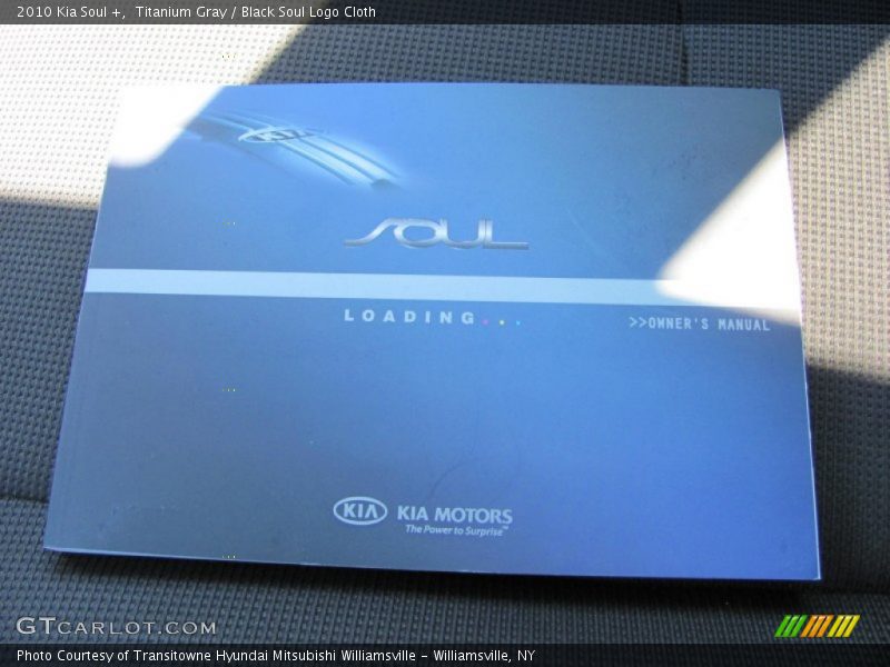 Titanium Gray / Black Soul Logo Cloth 2010 Kia Soul +
