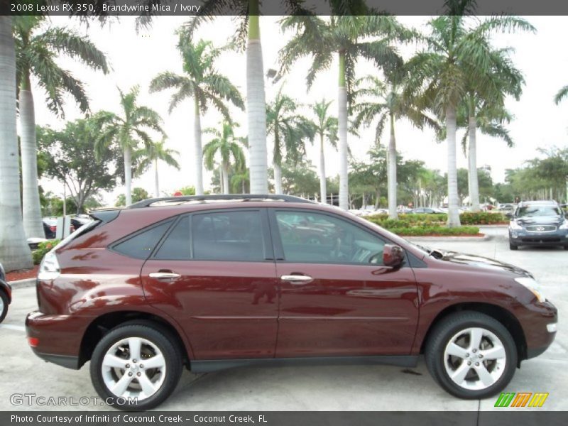  2008 RX 350 Brandywine Mica