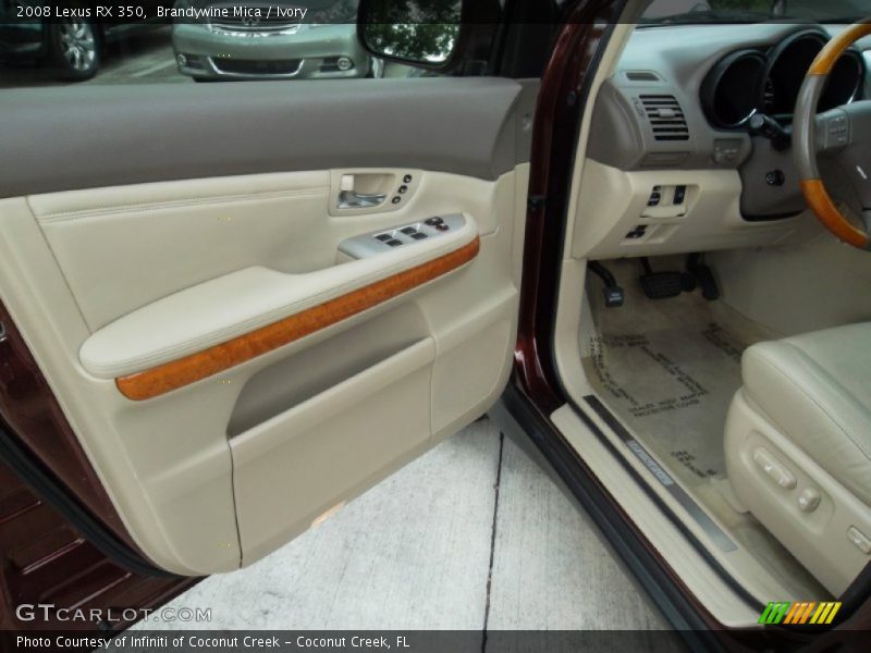 Door Panel of 2008 RX 350