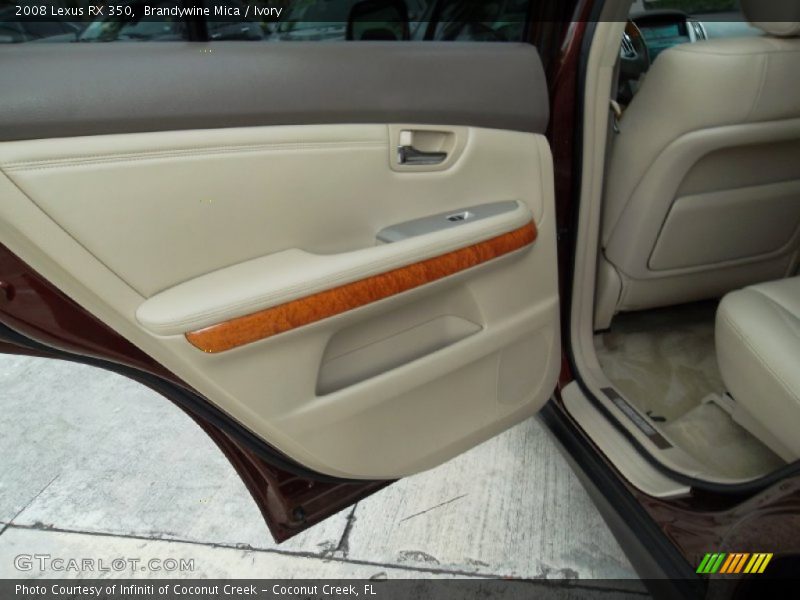 Door Panel of 2008 RX 350