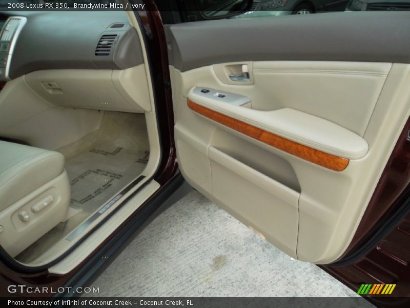 Door Panel of 2008 RX 350