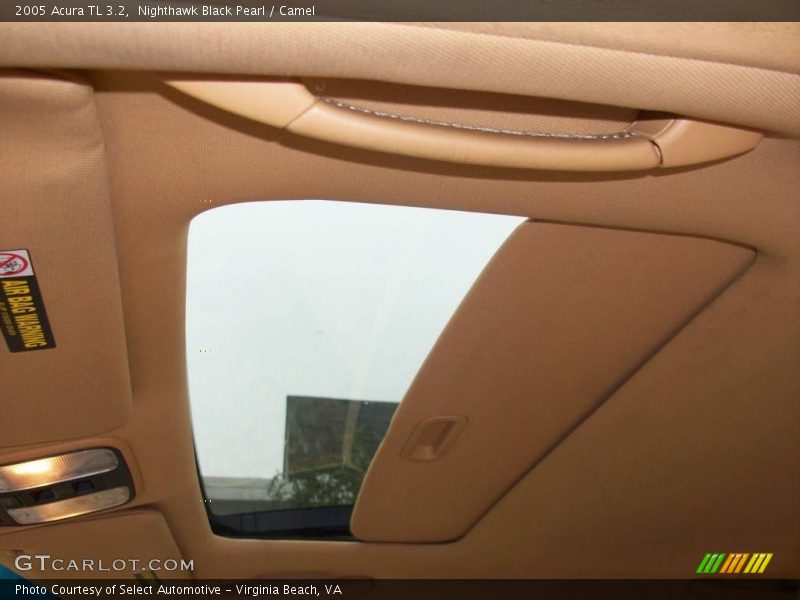 Nighthawk Black Pearl / Camel 2005 Acura TL 3.2