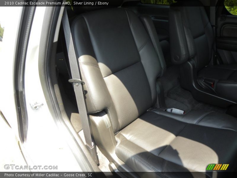 Silver Lining / Ebony 2010 Cadillac Escalade Premium AWD