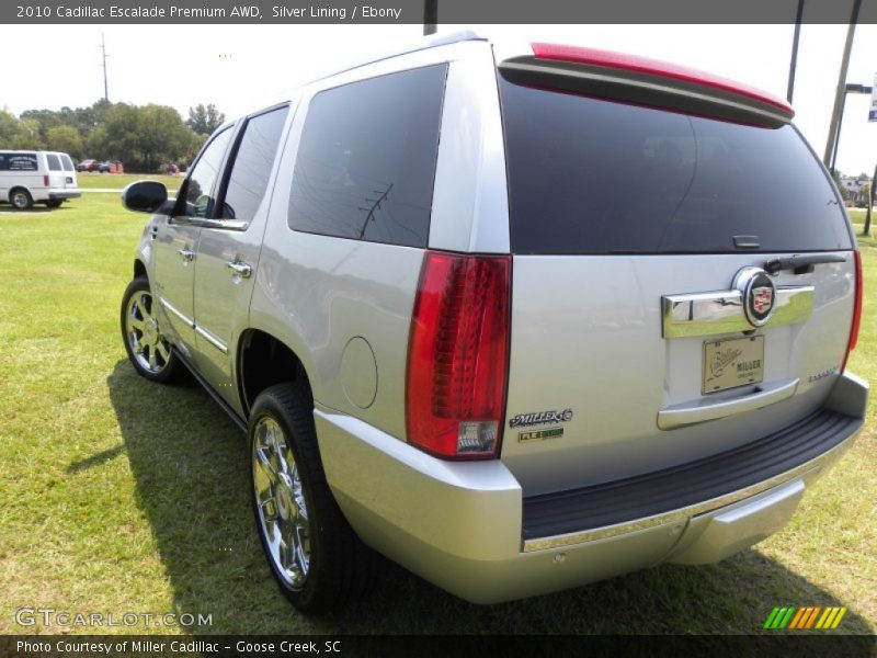 Silver Lining / Ebony 2010 Cadillac Escalade Premium AWD