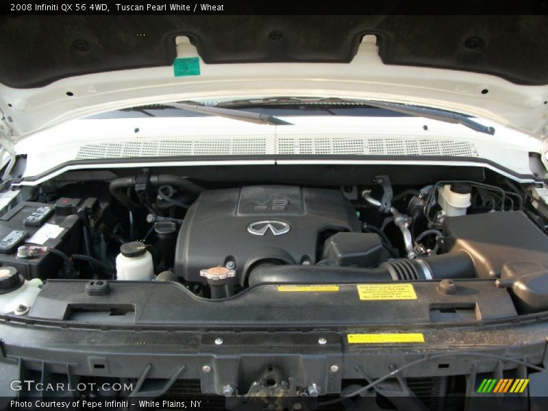 Tuscan Pearl White / Wheat 2008 Infiniti QX 56 4WD