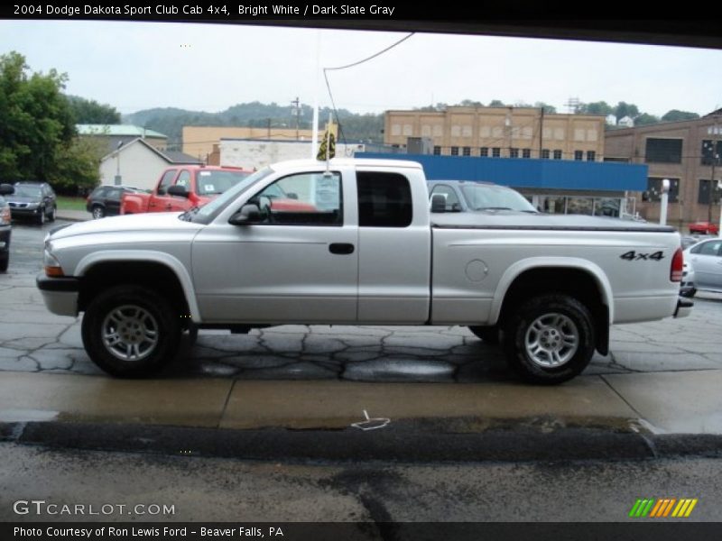 Bright White / Dark Slate Gray 2004 Dodge Dakota Sport Club Cab 4x4
