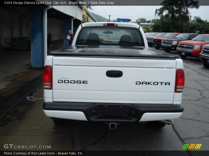 Bright White / Dark Slate Gray 2004 Dodge Dakota Sport Club Cab 4x4