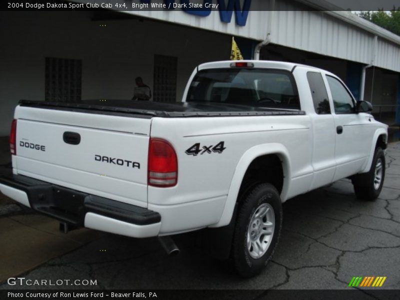 Bright White / Dark Slate Gray 2004 Dodge Dakota Sport Club Cab 4x4
