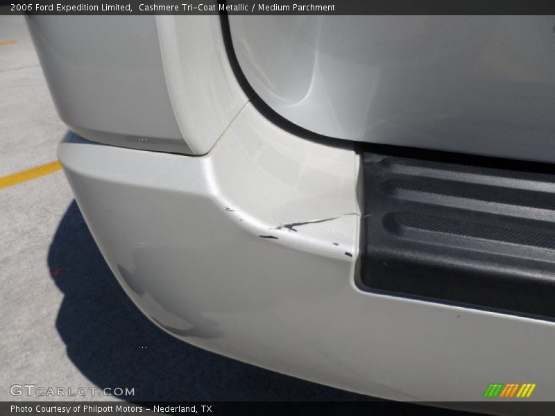 Cashmere Tri-Coat Metallic / Medium Parchment 2006 Ford Expedition Limited