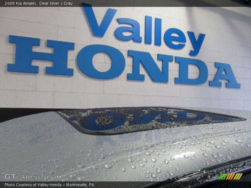 Clear Silver / Gray 2006 Kia Amanti