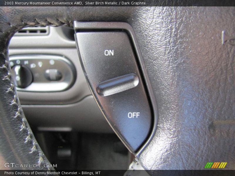 Silver Birch Metallic / Dark Graphite 2003 Mercury Mountaineer Convenience AWD