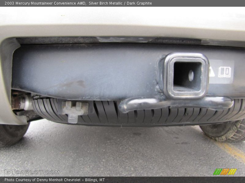 Silver Birch Metallic / Dark Graphite 2003 Mercury Mountaineer Convenience AWD