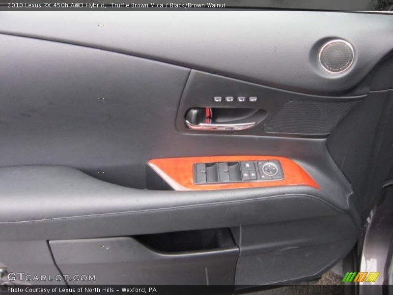 Door Panel of 2010 RX 450h AWD Hybrid