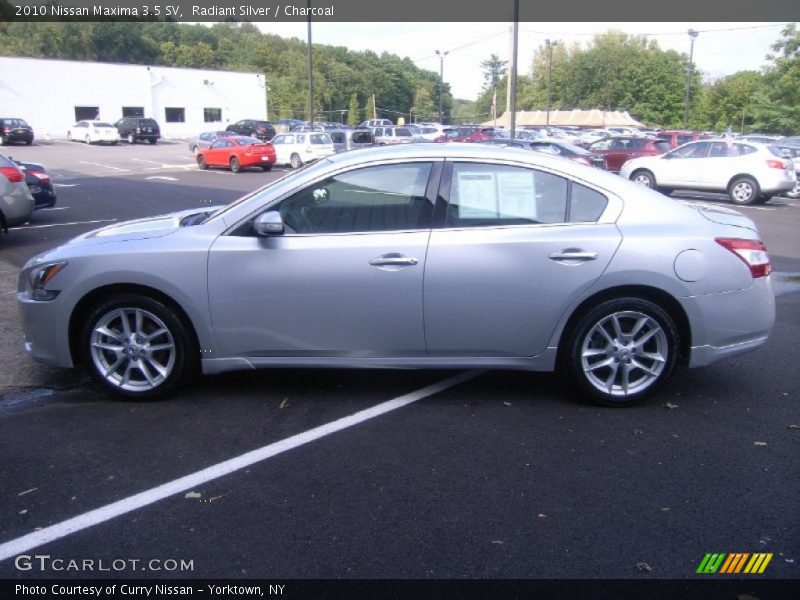Radiant Silver / Charcoal 2010 Nissan Maxima 3.5 SV