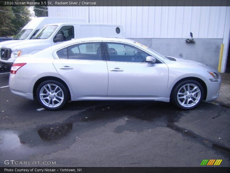 Radiant Silver / Charcoal 2010 Nissan Maxima 3.5 SV