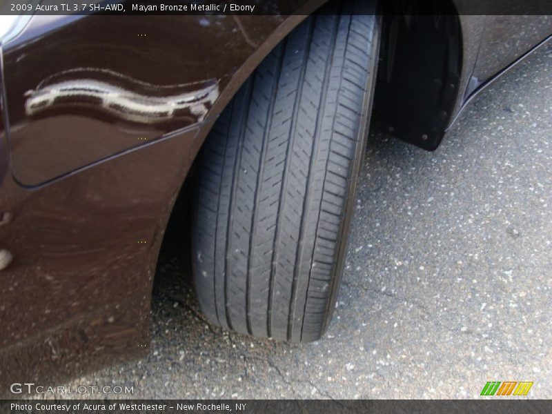 Mayan Bronze Metallic / Ebony 2009 Acura TL 3.7 SH-AWD