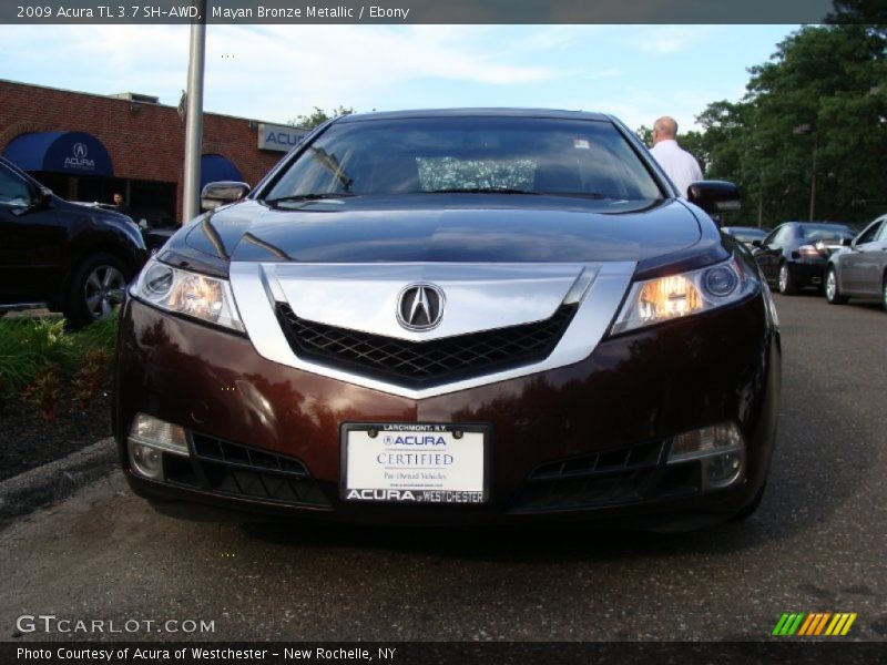 Mayan Bronze Metallic / Ebony 2009 Acura TL 3.7 SH-AWD