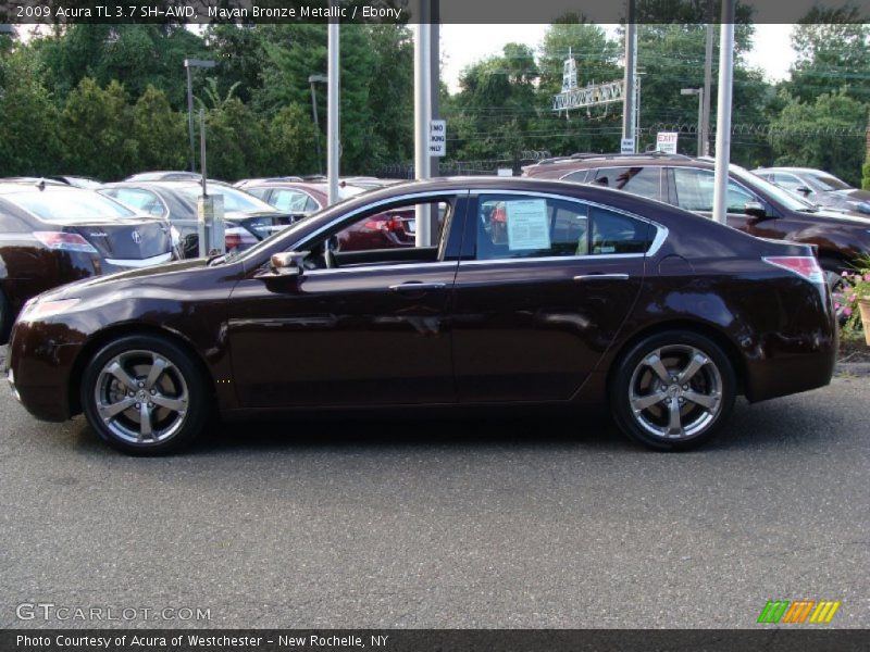 Mayan Bronze Metallic / Ebony 2009 Acura TL 3.7 SH-AWD