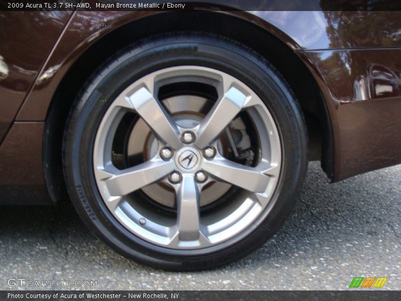 Mayan Bronze Metallic / Ebony 2009 Acura TL 3.7 SH-AWD