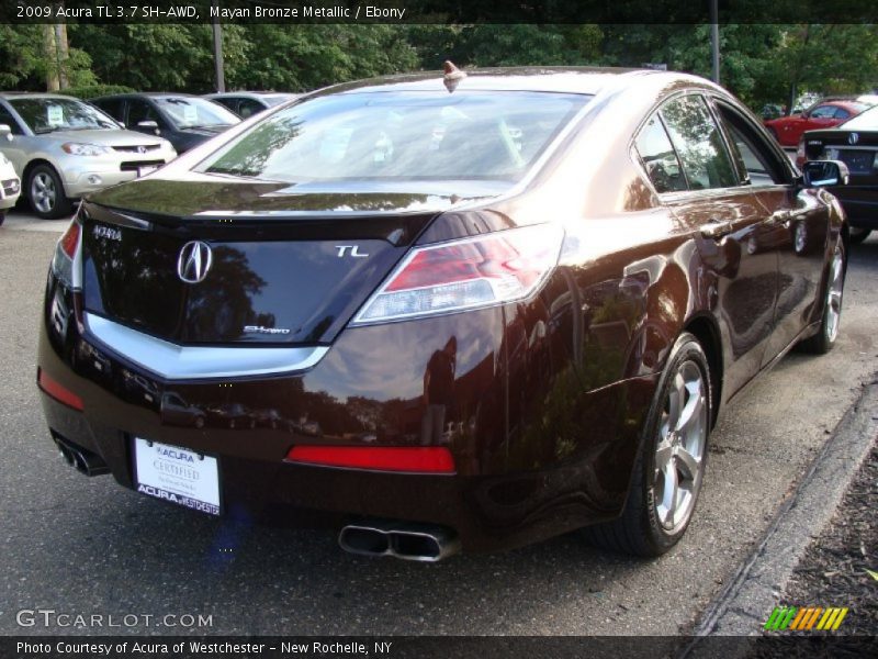 Mayan Bronze Metallic / Ebony 2009 Acura TL 3.7 SH-AWD