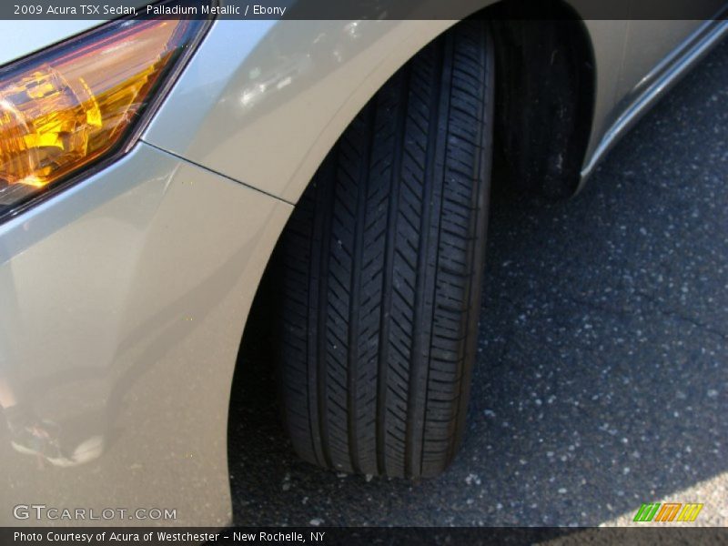 Palladium Metallic / Ebony 2009 Acura TSX Sedan